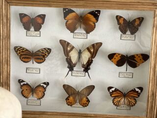 Antiek en brocante van de broers Van Heuverswyn!