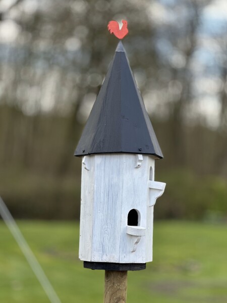 Nestwarmte: stel je open voor de vogels in je tuin